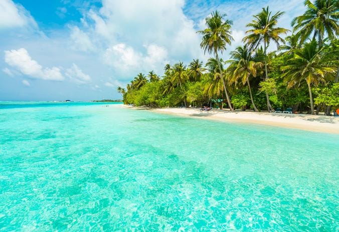 The Vibrant Culture of India's Lakshadweep Islands